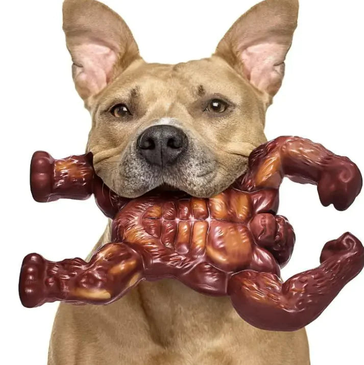 Dog Molar Nibbling Nylon Beef Flavor Toy